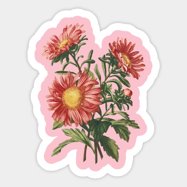 Flowers for mothers day Sticker by PallKris